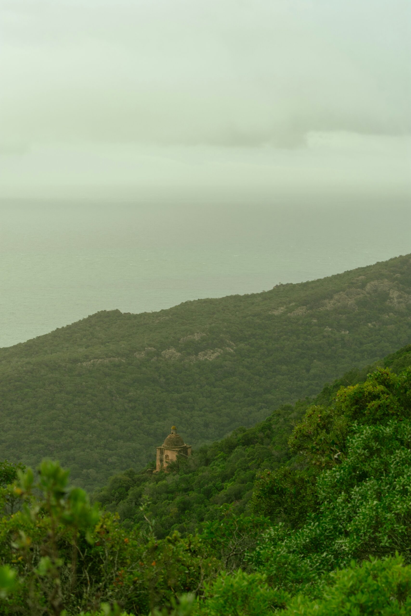Parc National Taï
