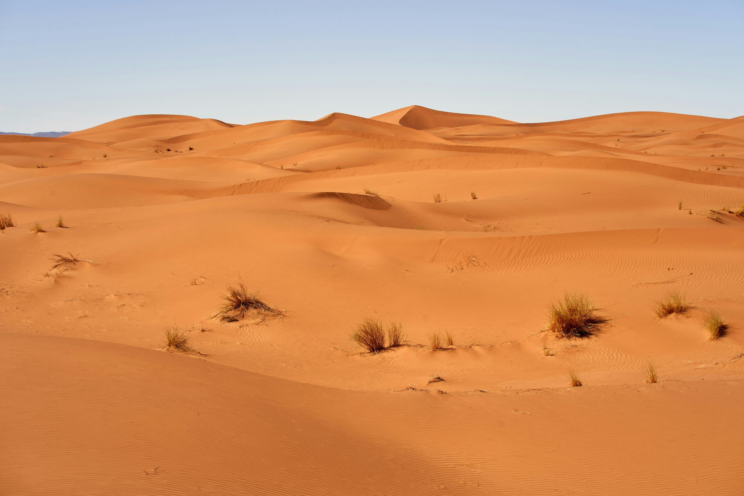 Désert du Sahara