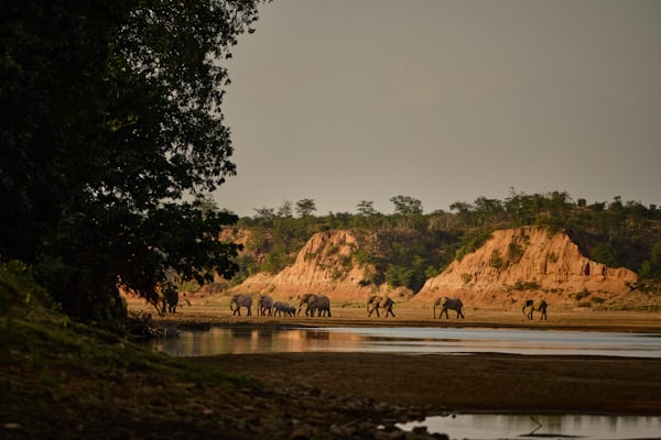 Abuko Nature Reserve
